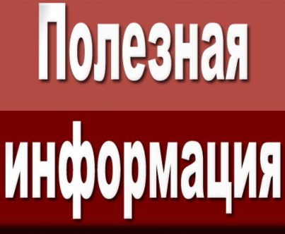 Мобильное приложение «Работа России»